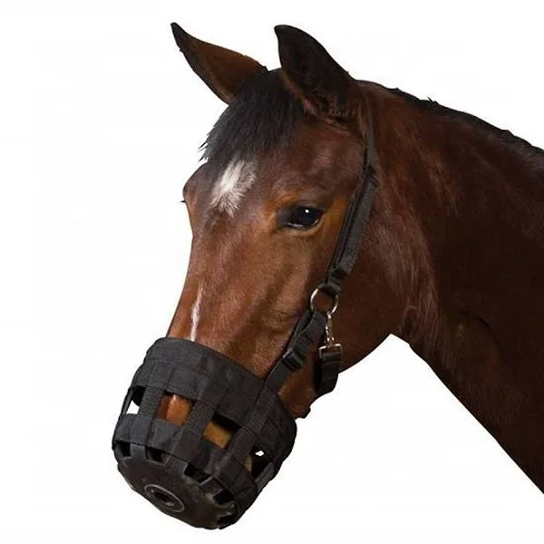Online shopping Grazing Muzzles for Horse Easy Breathe Comfortable padded nose quick release throat lash Riding House Kanpur