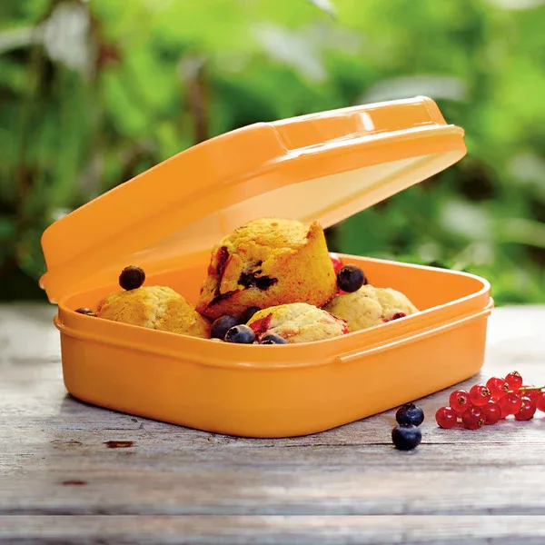 PP Slim Plastic Lunch Boxes Modern Design Multi-Purpose Rectangle Shape for Organized Food Storage Injection Technics