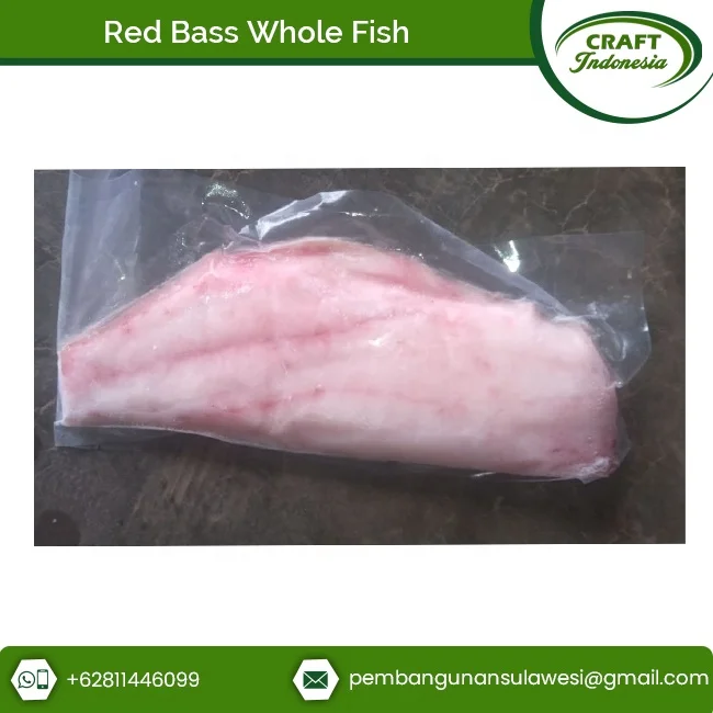 Direct Factory Supply Frozen Seafood Red Bass Fillet Fish at Great Price