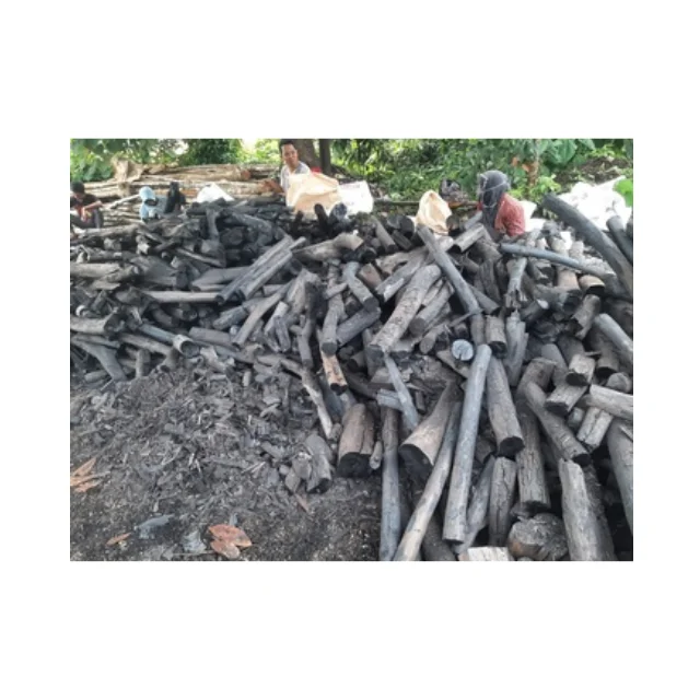 Wood Kachi Mangrove Charcoal Wood Shell