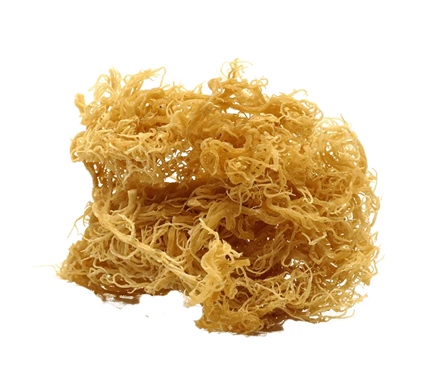 100% Натуральные Сушеные Водоросли Eucheuma Cottonii-сушеные водоросли для экспорта из