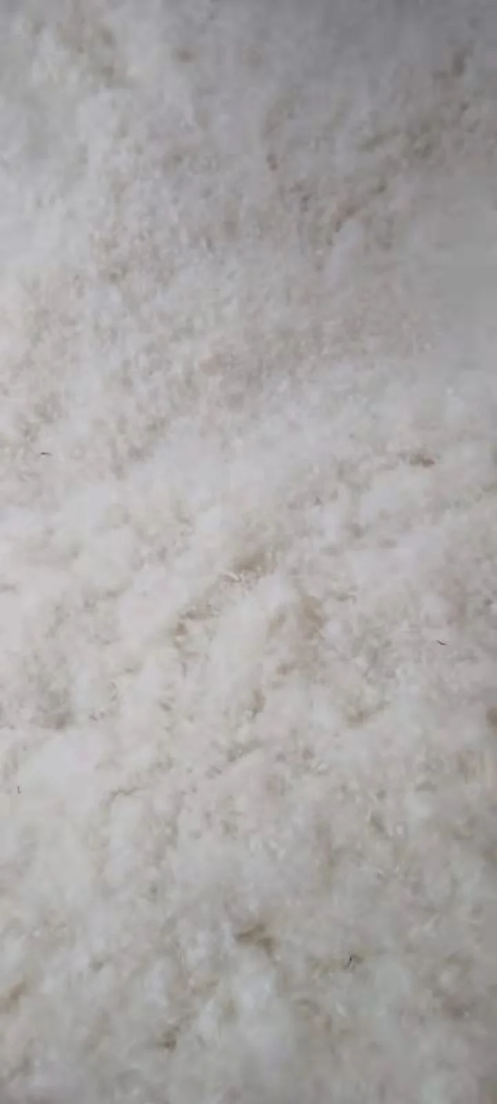 Whole sale factory pure down  Feather