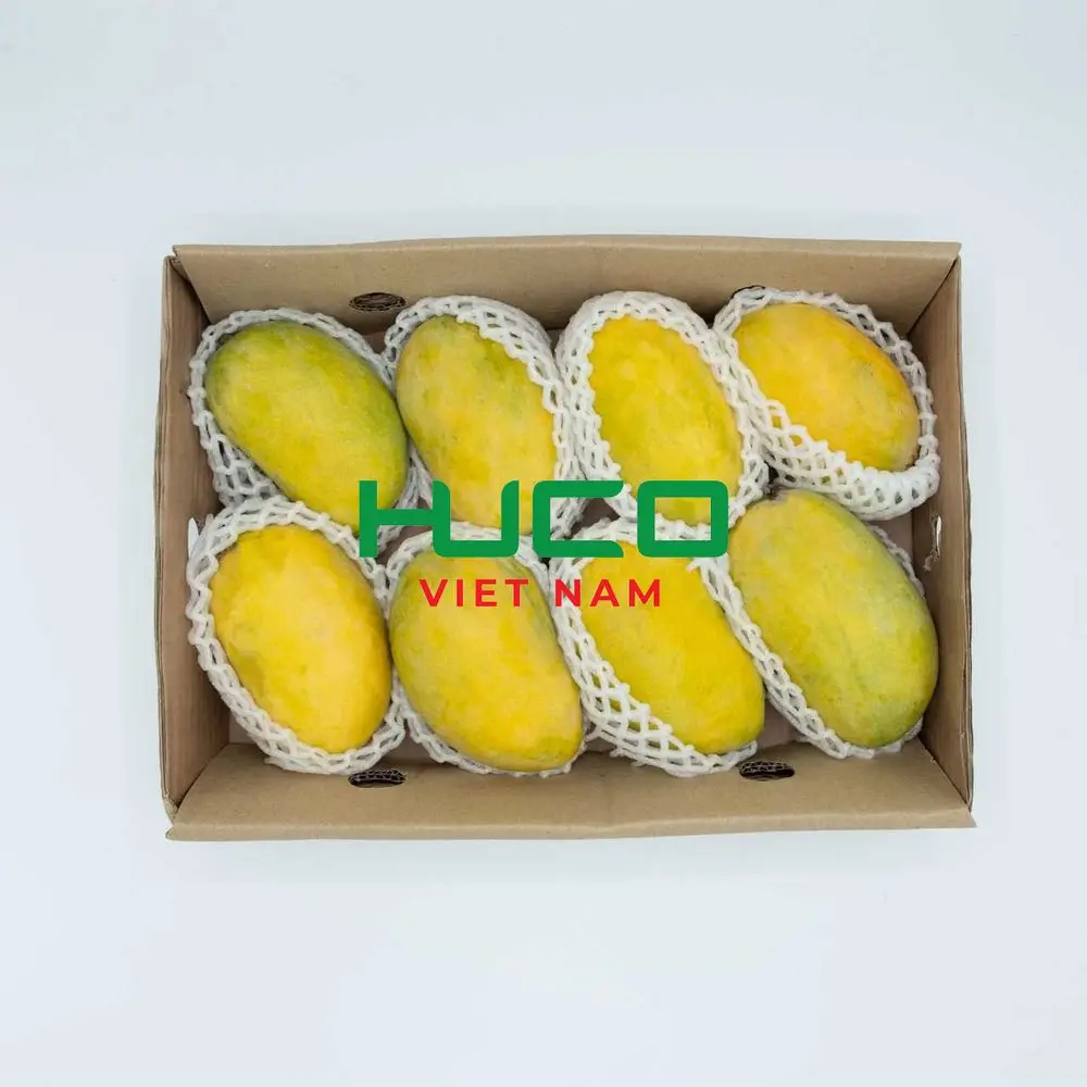 Best price Fresh Mango High Quality Exporter from Vietnam