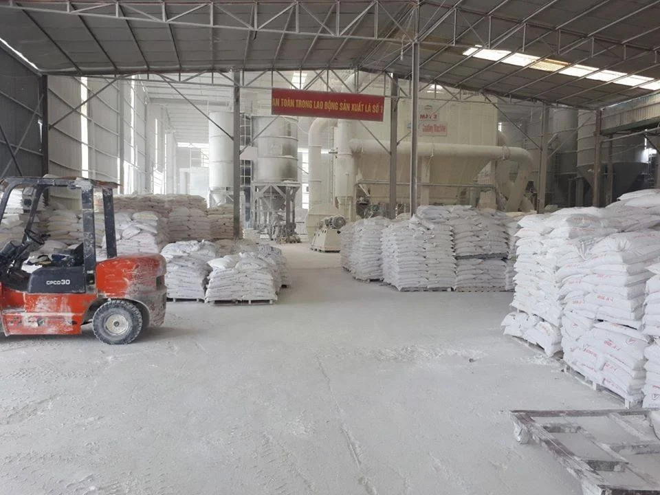 Ground Calcium Carbonate Powder made in Vietnam High quality uncoated and Coated grade