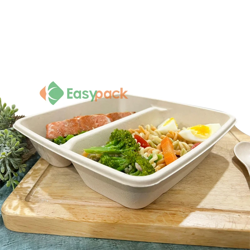Disposable Take Out Box Fast Food Containers with Plastic Lid
