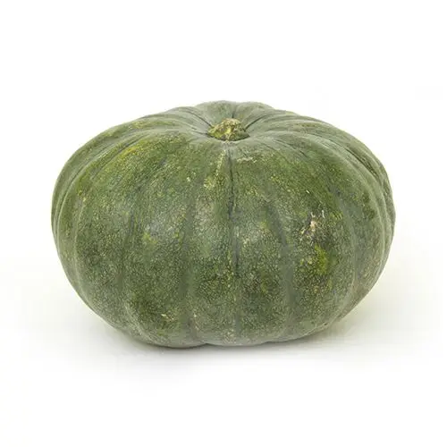 Best Quality Fresh Pumpkins for sale at wholesale prices.