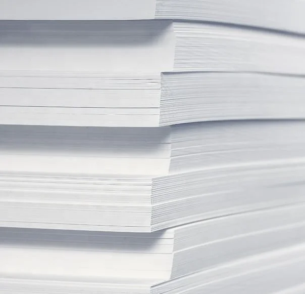 Global Packaging Market Bulk Sheets Packing 230GSM TO 450 GSM PAPER ROLL BOARD COLLECTION 2024 Wide Array of Packaging Material