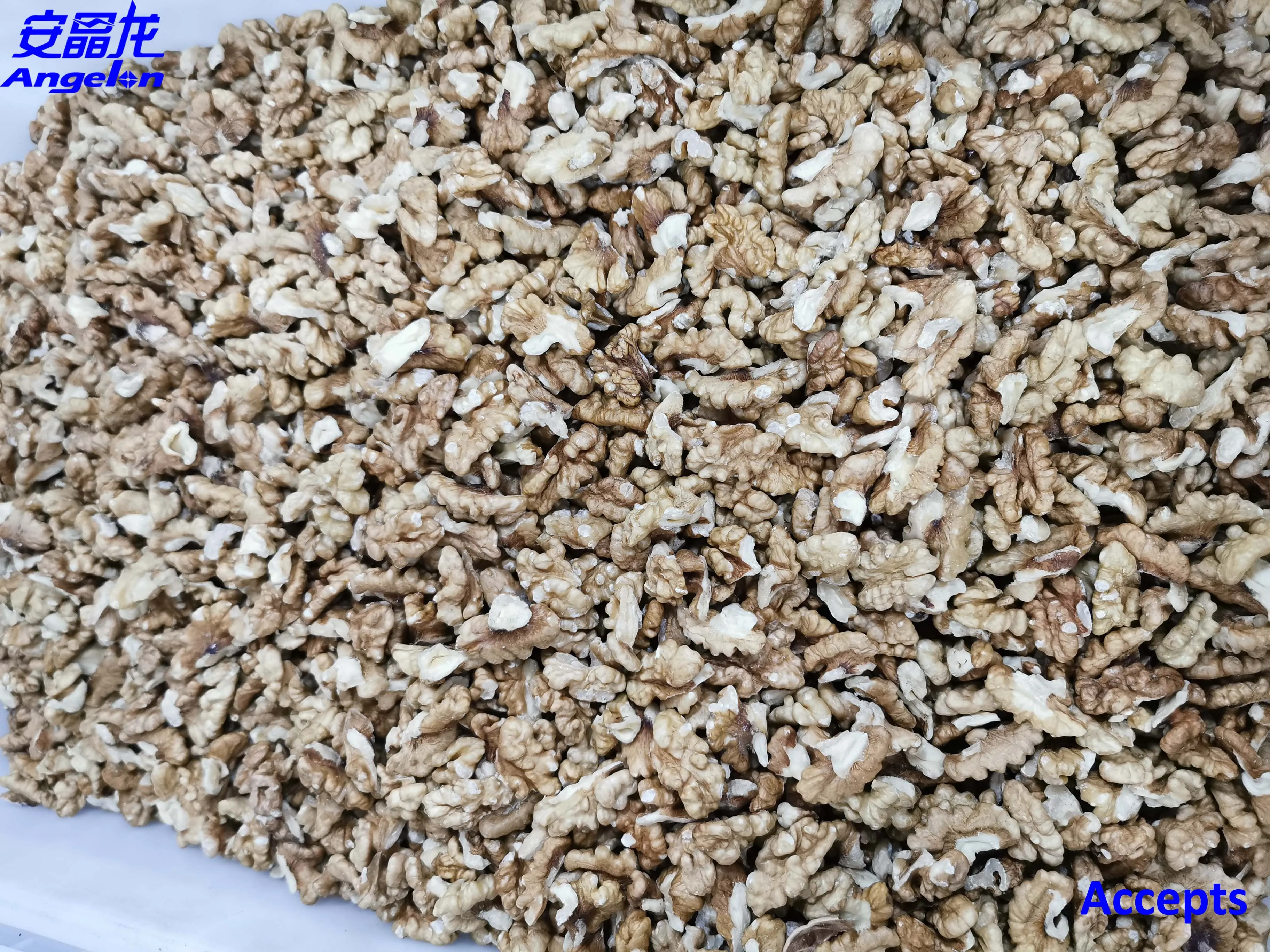 Peanuts Walnut Color sorter/sorting machine CCD camera intelligent Nuts processing machine