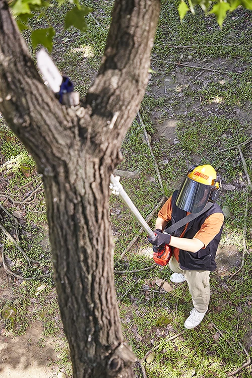 High quality battery Powered Pole Saw Extend Kawasaki Long Pole Chain Saw For Road Care