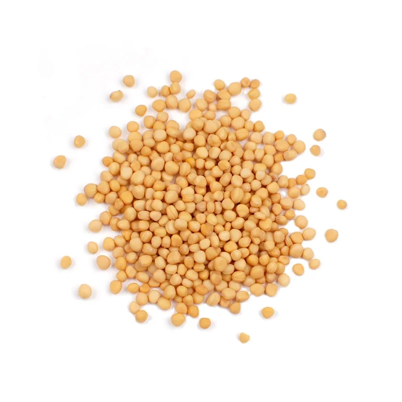 100% Premium Quality Yellow Mustard Seeds for Sale