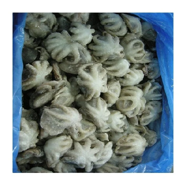 Высококачественный замороженный осьминог, очищенный из Индии