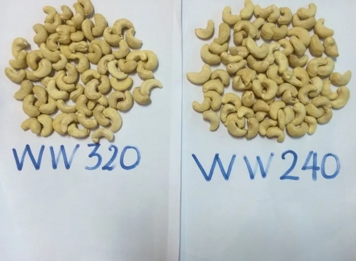 Premium Large Nuts - cashew nuts WW240 (220-240 seed/ pound) Vietnam origin available for export