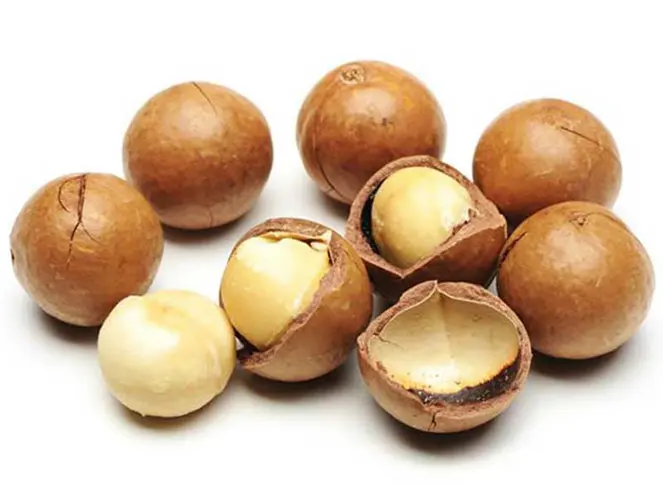 100% органический макадамия высокое качество сушеный жареный из Вьетнама для здоровых орехов готовый к отправке