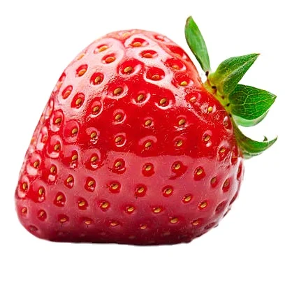 Top Brand Top Quality Strawberry Juicy And Fresh Naturel Type Available From India To The World Wide Seller