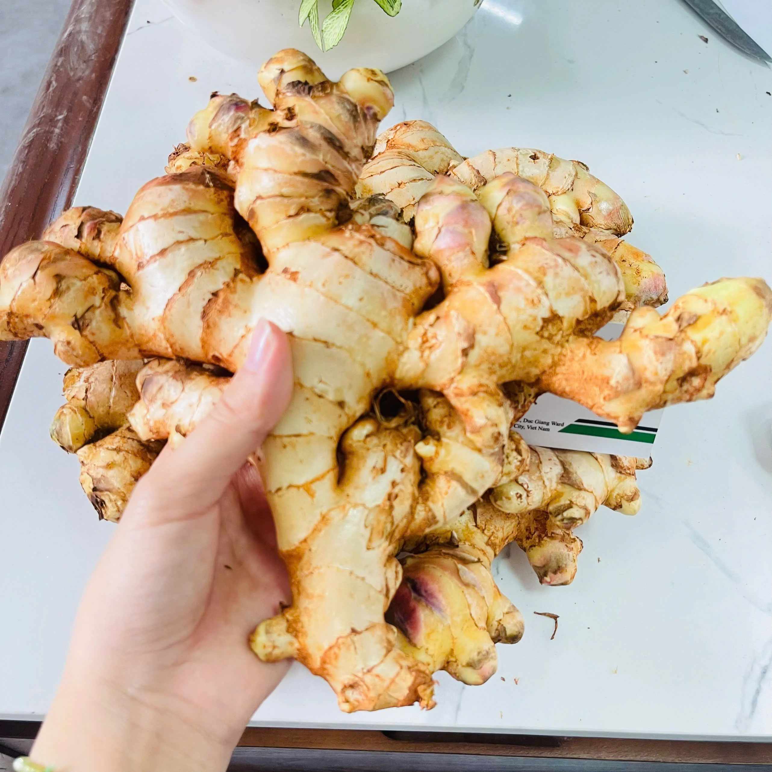 Свежий имбирь/Gingembre | Лучшее качество во Вьетнаме (WhatsApp: + 84366808683)