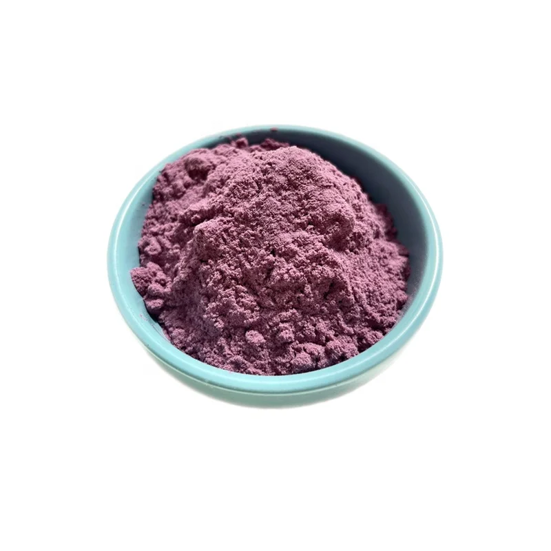 Ciyuan Factory Supply Bulk Price Immunity Enhancement Supplement Elderberry Extract Powder