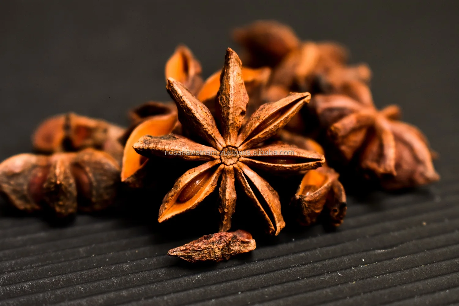 Vietnam Natural Product Best Price High Quality Star Anise