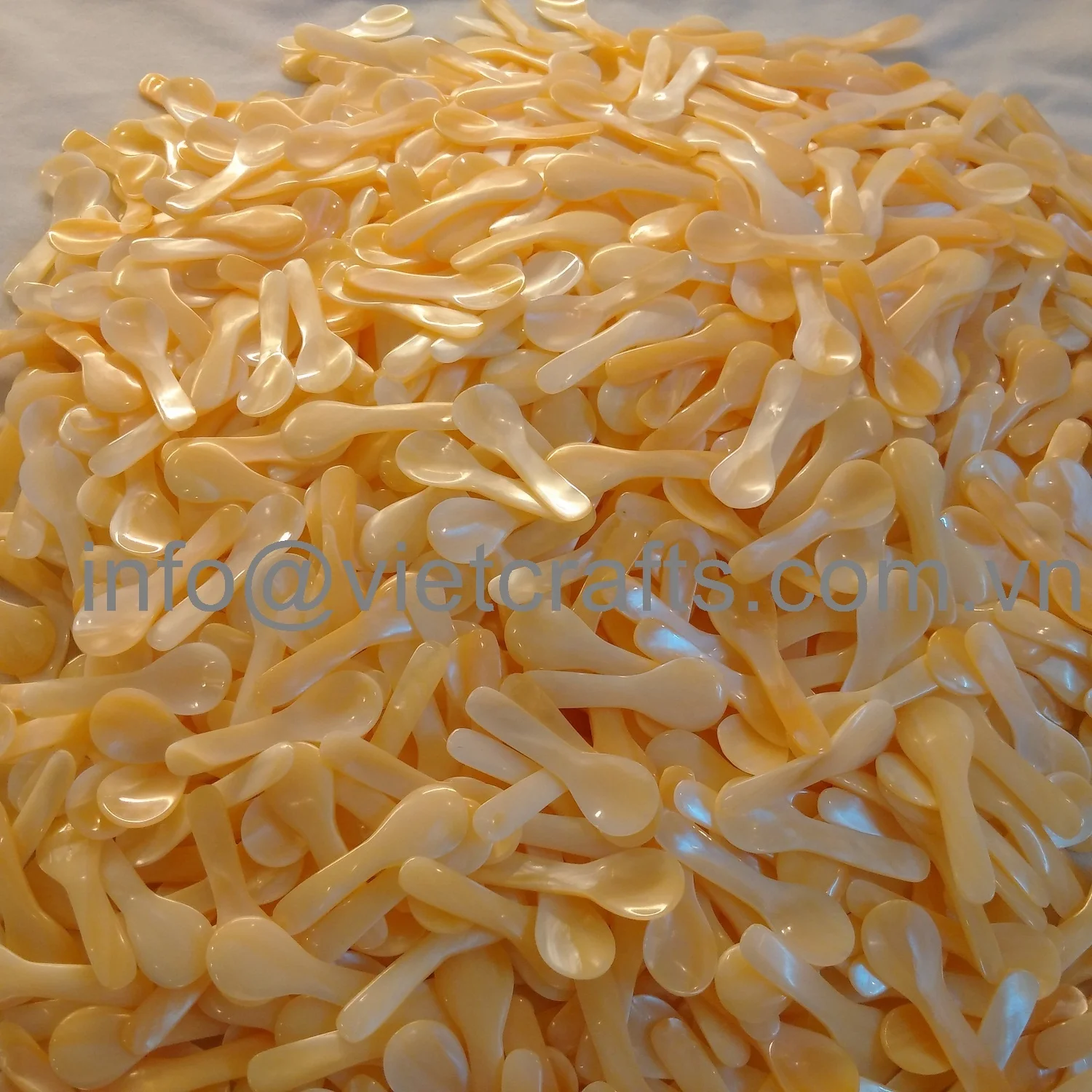 Mother of pearl caviar spoon Salt Spoons Scoop Kitchen Spice Measuring Wood Mini Wooden Small Wooden Disposable Luxury