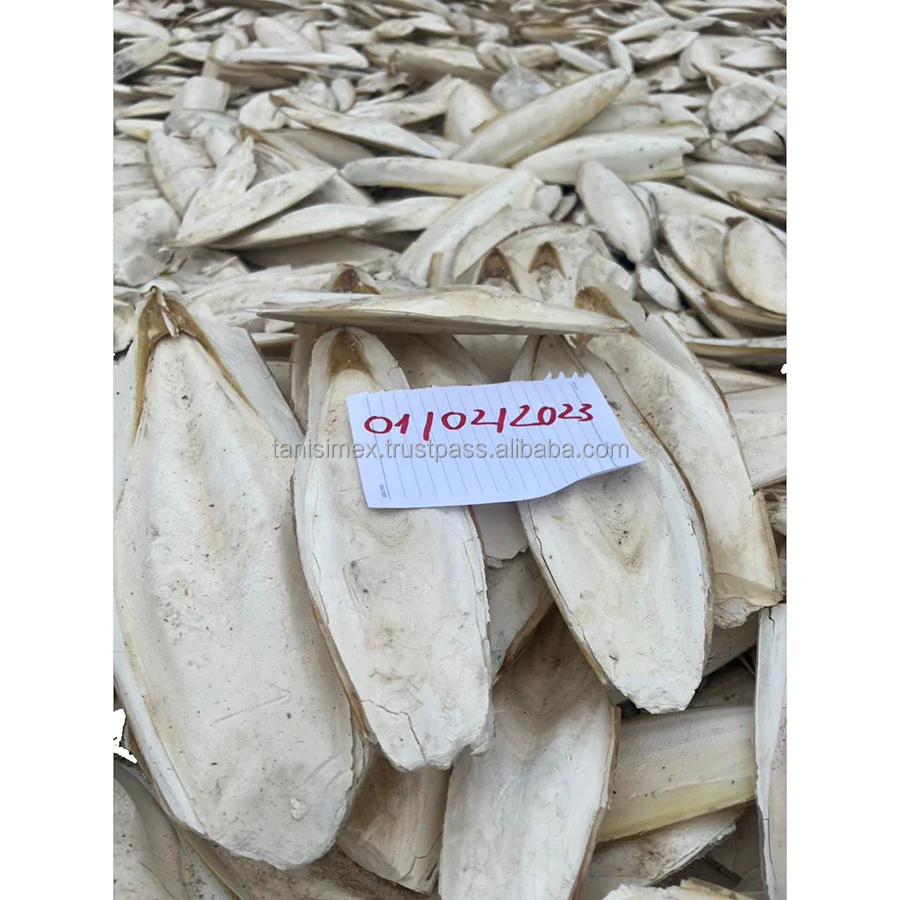 PREMIUM BULK SUPPLY: DRIED CUTTLEFISH BONE FOR PET NUTRITION!