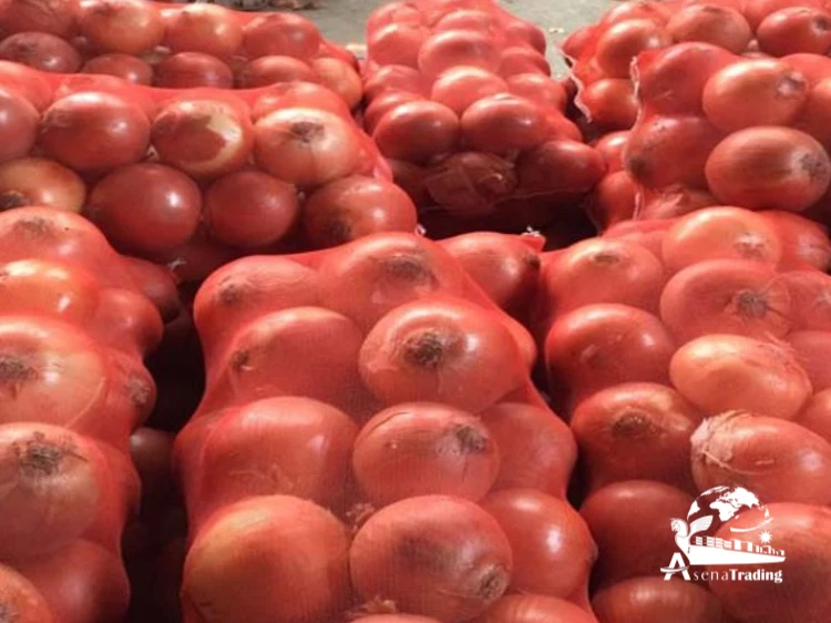 High quality The most popular wholesale Fresh oignons Shallot Peeled Onion Red Yellow White Organic Onion