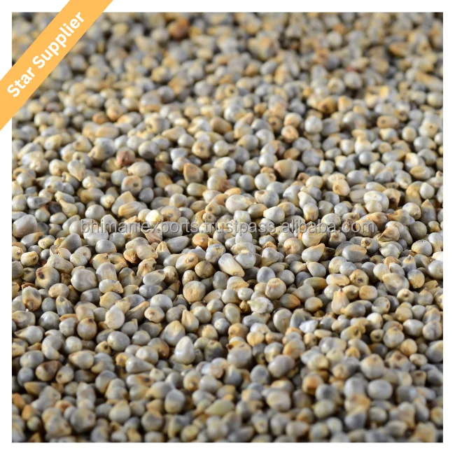 Fresh Crop 2022 Millet (Bajra) High Quality 100% Natural Millet Dry Grain organic Green Millet from Indian manufacturer