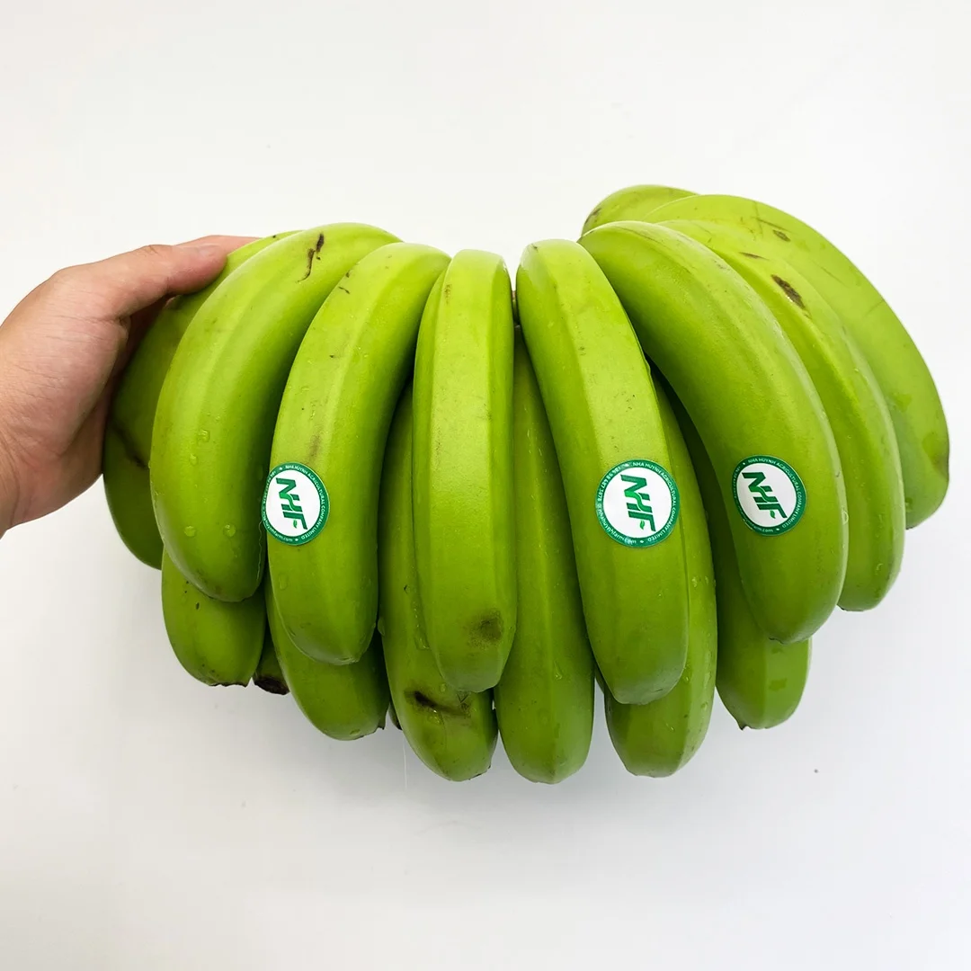 Без химикатов 100% органический высококачественный Свежий Кавендиш Банан для рынков Япония | NHF VIETNAM