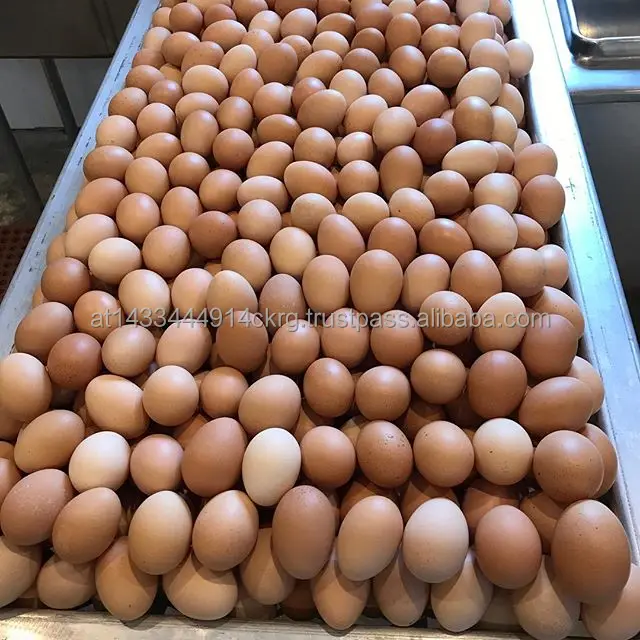 Свежие коричневые куриные яйца лучшего качества