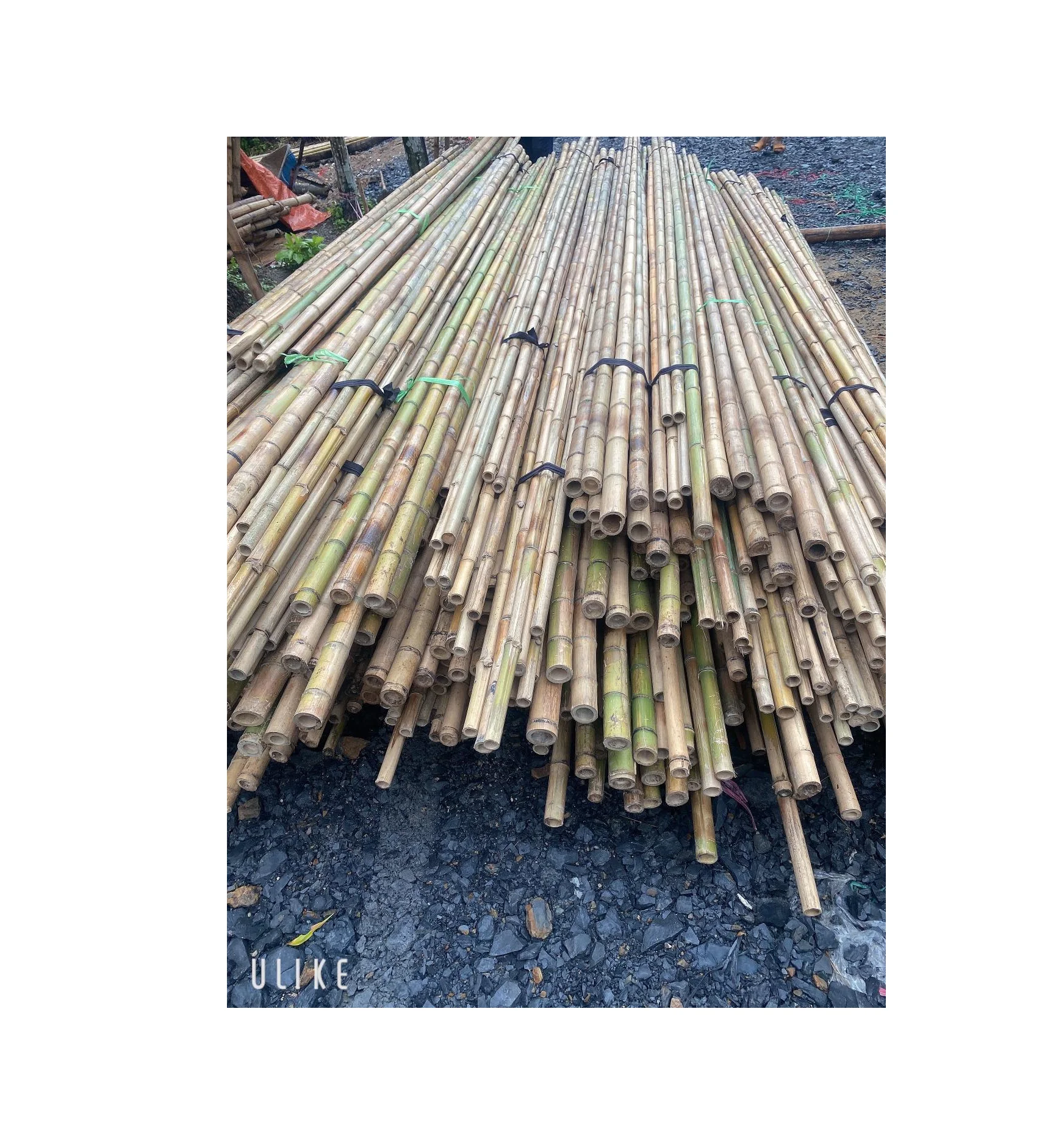 HIGH QUALITY Bamboo Natural Bamboo Sticks /Cut Bamboo Sticks/ Natural Bamboo pole cane craft material ( whatsapp 0084587176063)