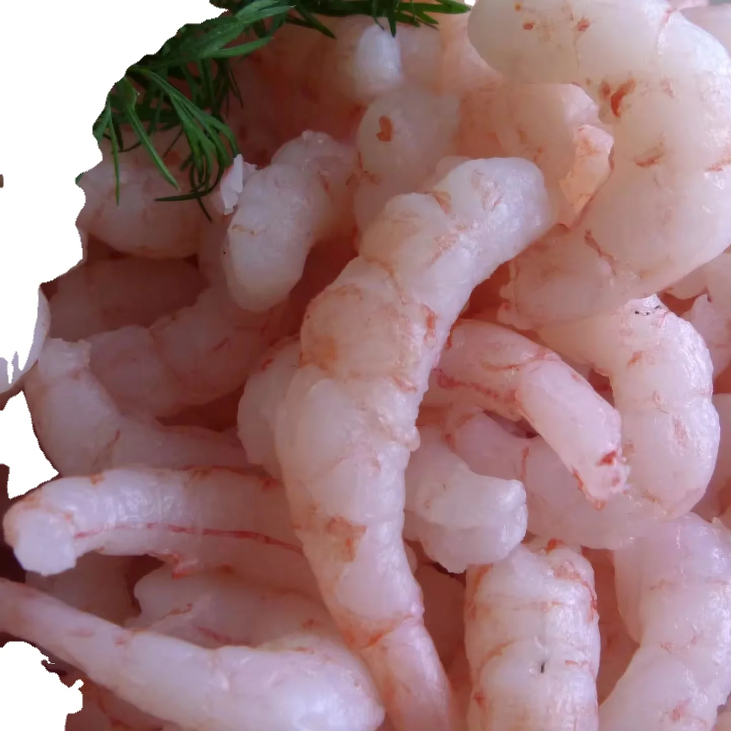 FROZEN VANNAMEI PEELD HLSO HOSO PUD BEST PRICE