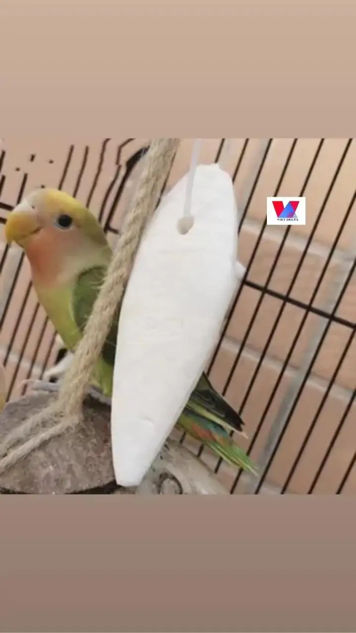 HIGH QUALITY VIETNAMESE PRODUCTS - GOOD PRICE- FOR ANIMAL FEED MADE FROM CUTTLEFISH BONE