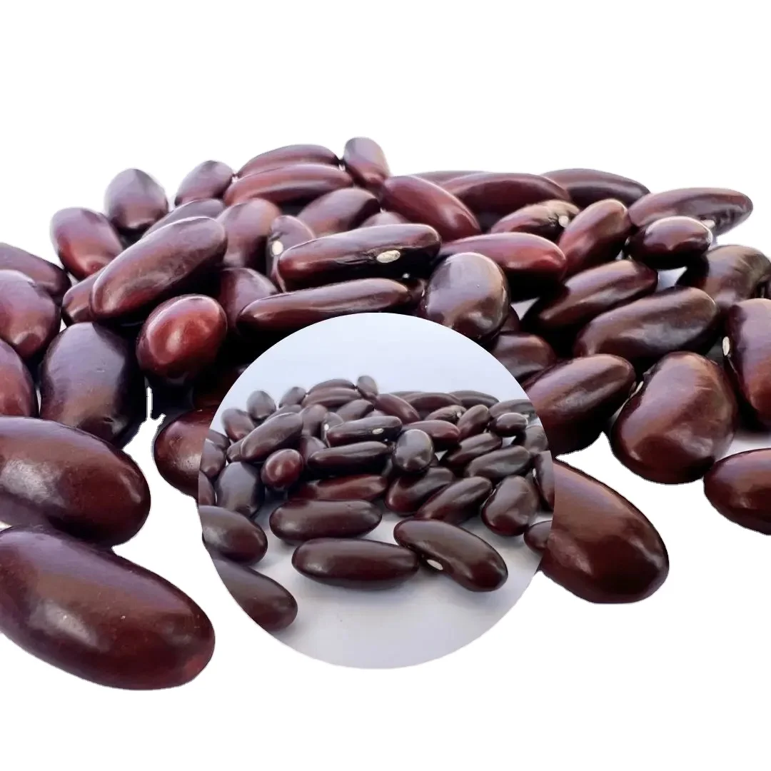 HOT SELLING VIETNAM RED KIDNEY BEANS 2023 ( GRAVITY CLEANED AND COLOR SORTED