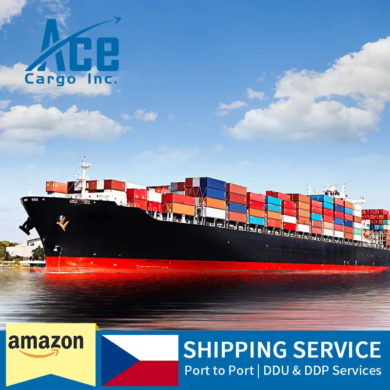 TOP 1 ddp Sea Freight Shipping Agent From China To Czech republic Fba Amazon Freight Forwarder Amazon Shipping