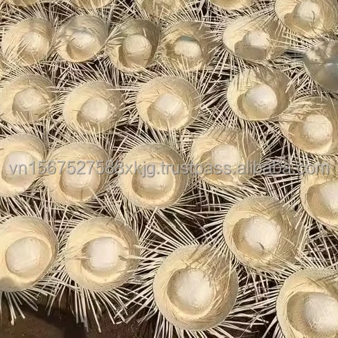 BEST SELLING VIETNAMESE TRADITiONAL HAT_BEAUTIFUL LEAF HAT