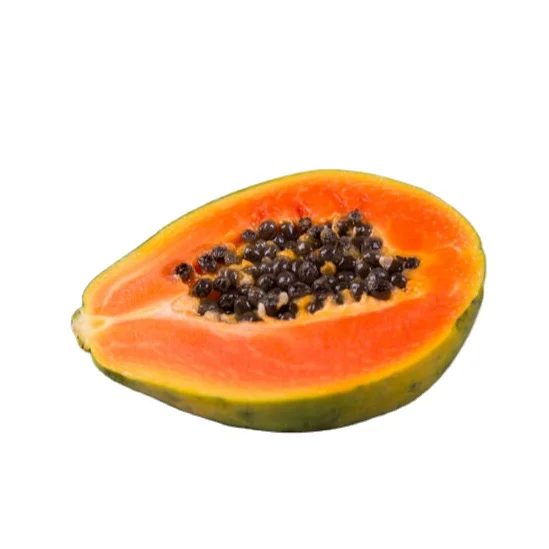 Papaya Red Glory F1 / Red Lady f1 Hybrid 500 piece packing per packet available for export in Pouch Packing and Tin Packing