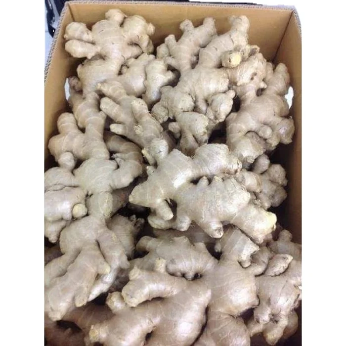 Имбирь нового производства имбиря для экспорта по