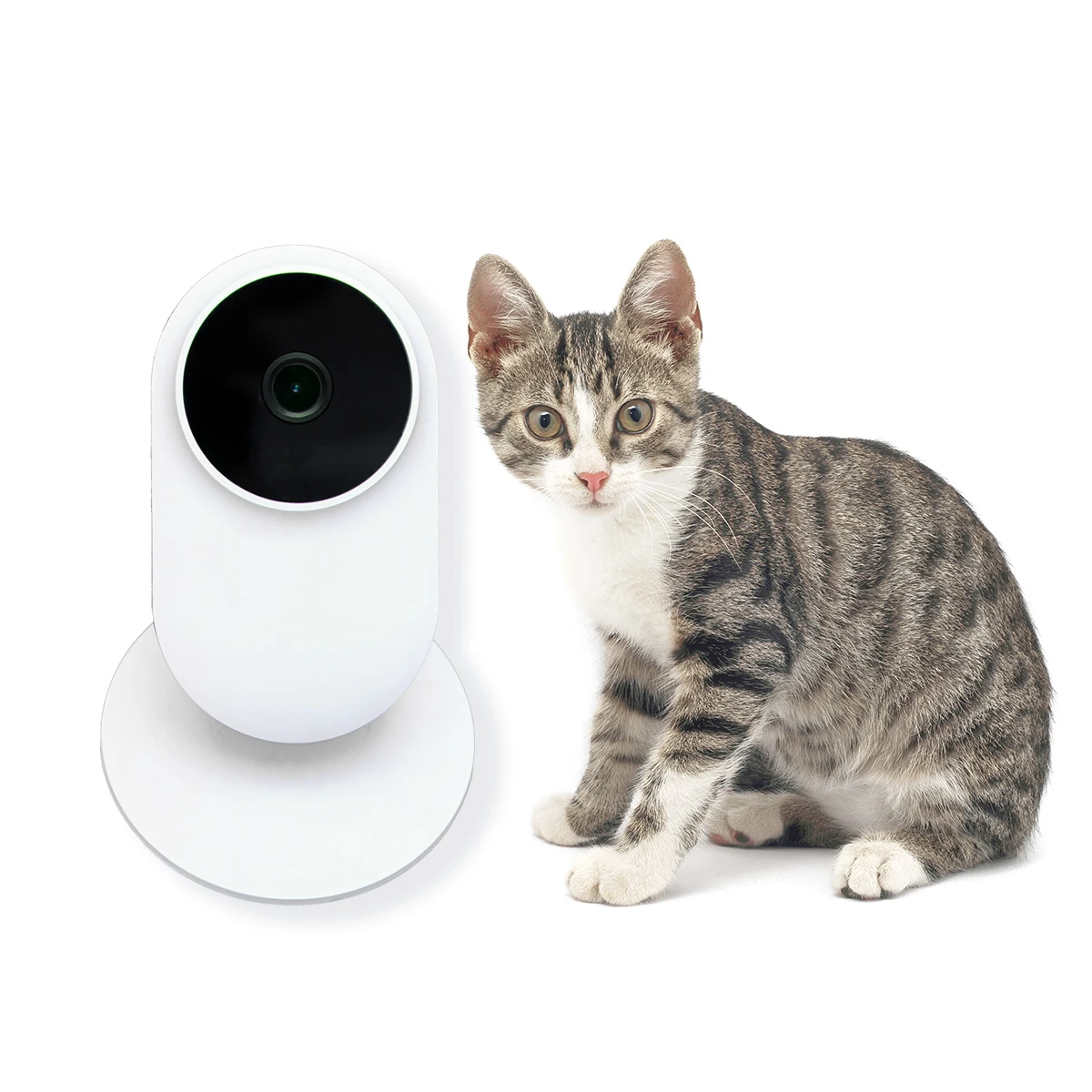 Pet Monitor