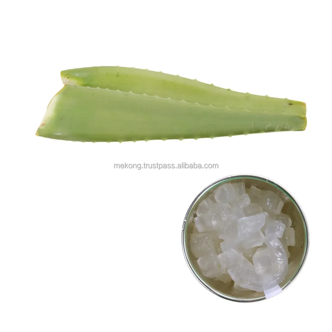 Hot Sale Nutritious Healthy Aloe Vera Dice In Syrup/ Aloe Vera Jelly Material For Juice Drink Private Label Packaging Available