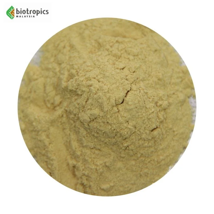 Physta Malaysian Tongkat Ali Root Extract Standardized Eurycoma Longifolia Ingredient Food Protein Powder Health Supplements