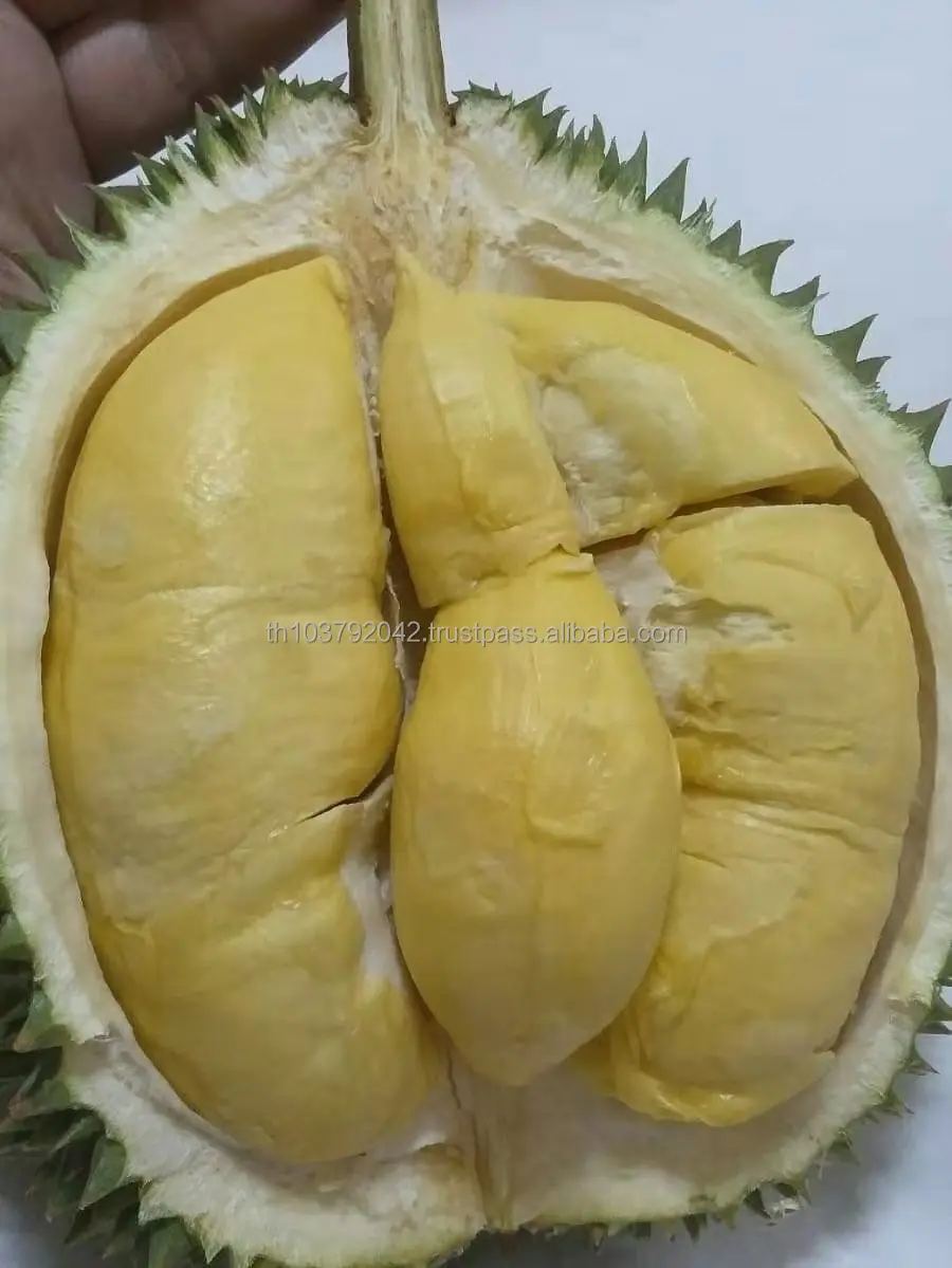 Premium Fruit  Fresh Durian From Thailand