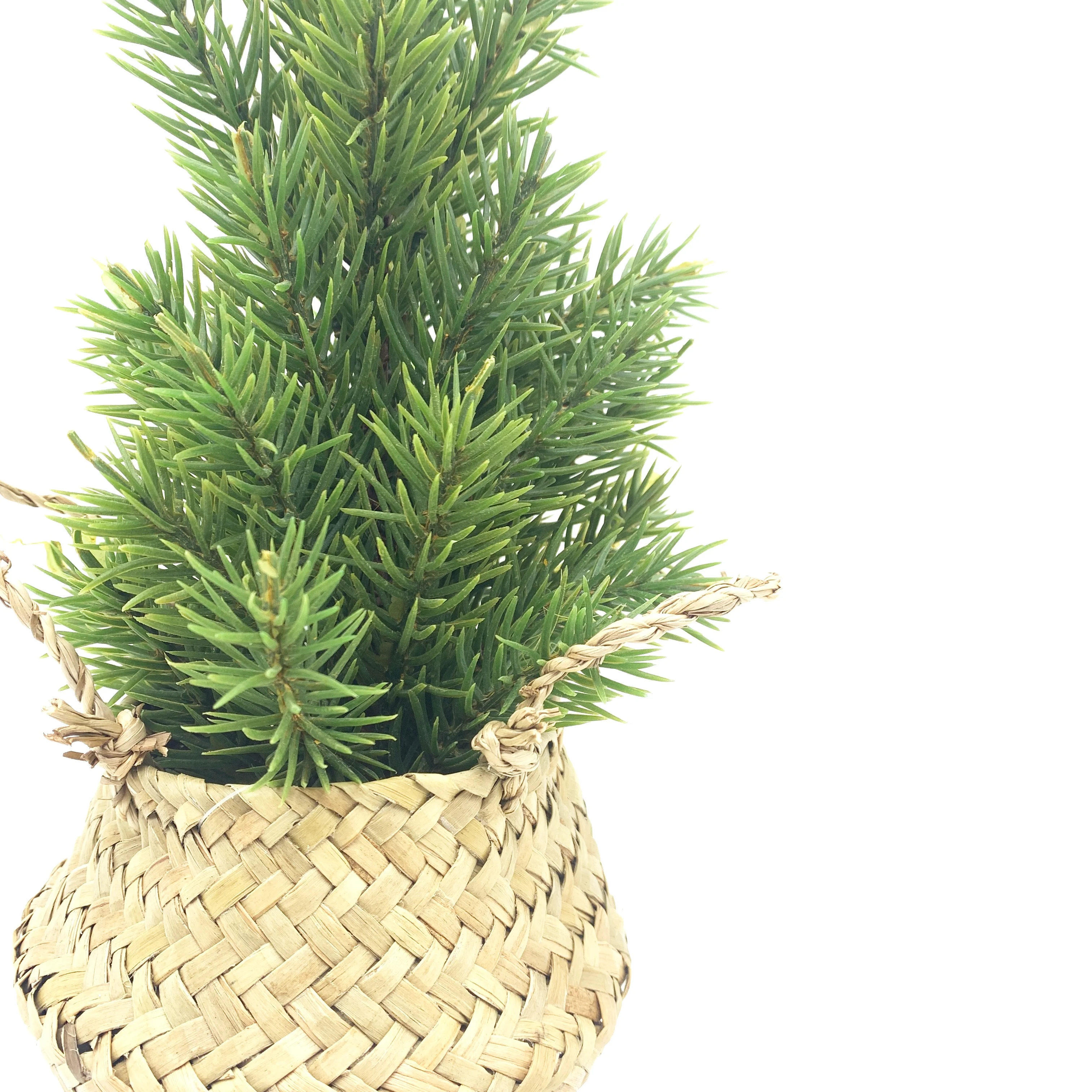  Горячая Распродажа сделанная на заказ настольная зеленая искусственная Мини Рождественская сосна для дома тяжелый снег украшение в виде корзины из морских водорослей