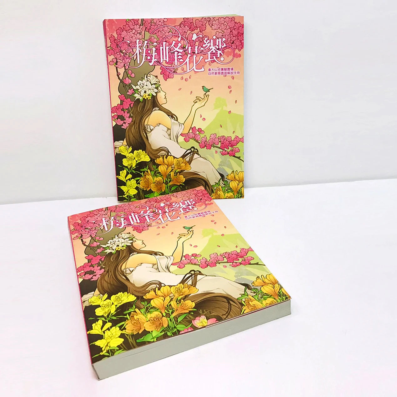 Taiwan manufacturer Brochure Catalogue Book Novel