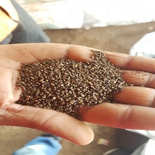 Top Quality Bentonite Clay Supplier from Gujarat India all grades High Viscosity