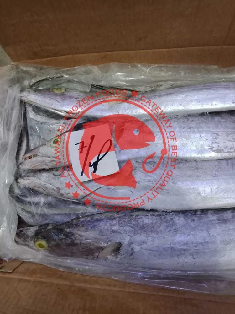 Frozen Ribbon Fish /Best Quality Frozen Seafood Exporter