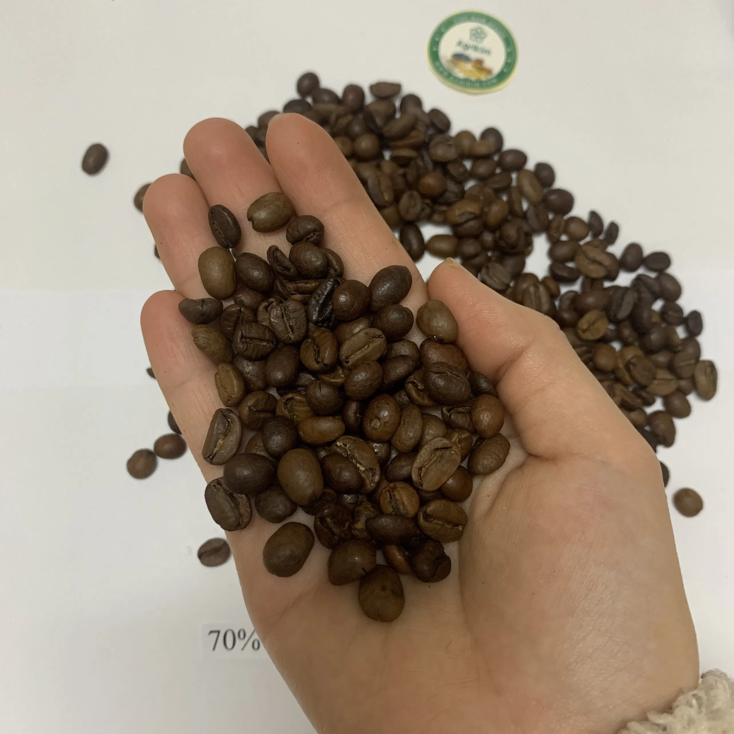 Premium Quality Kirar Raw Roasted Whole Bean Spicailty Arabica Washed 50 kg Strong Good Taste Hot Selling Available in Bulk