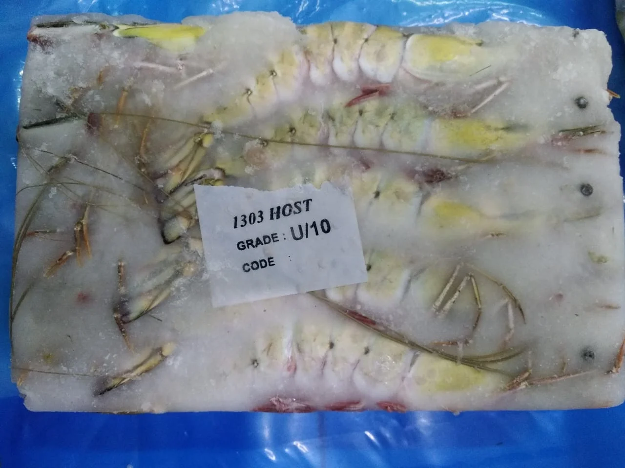 Frozen Sea Tiger Head on Shell on Shrimp Standard Quality