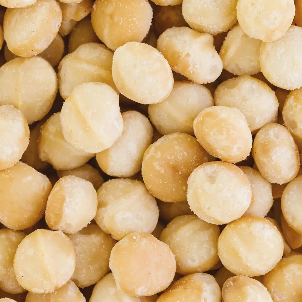 
NEWEST CTOP MACADAMIA NUT VIETNAM ORIGIN 