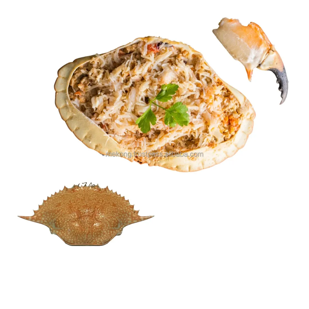 Hot Sale Cleaned Whole Crab Shells For Stuffed Crab And Decoration Short Leadtime