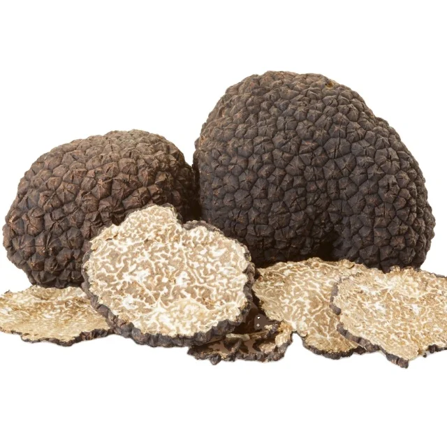 
Wholesale Fresh Frozen Wild Black Truffles from Yunnan China Tuber Melanosporum fresh truffles Younium Fresh Matsutake Mushroom 
