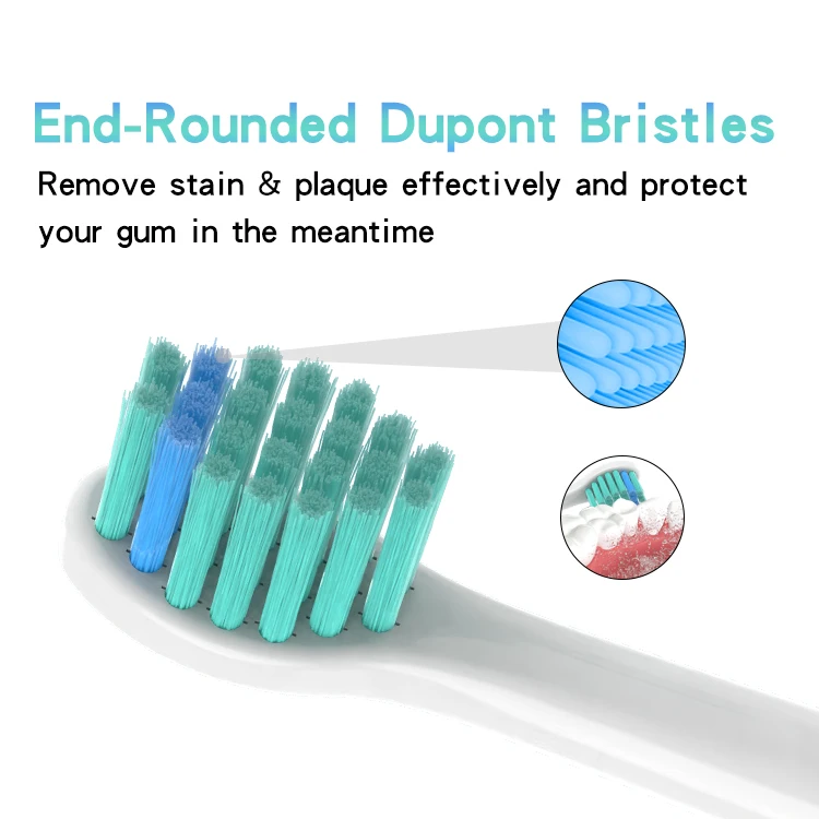 Free Sample Free Design Eco Wholesale Cheap CE Toothbrush Heads Compatible with Philps Soncare Electric Toothbrush Biodegradable