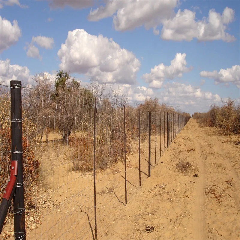 Дешевый горячий оцинкованный тканый дикий шарнир, соединительный узел, ограда для лошадей, крупного рогатого скота, фермы, полевой забор в Южную Африку